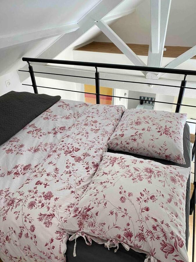 Proche Paris Et Disney-Calme Absolu Vaires-sur-Marne 外观 照片